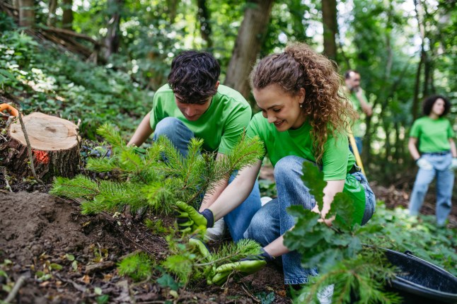 Two people plant trees together while volunteering.