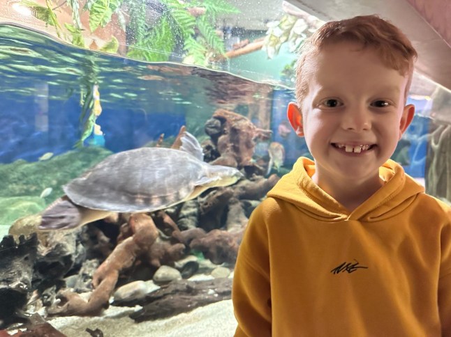 Louise Pearce's son Thomas